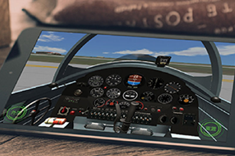 Hand-held program trainer
